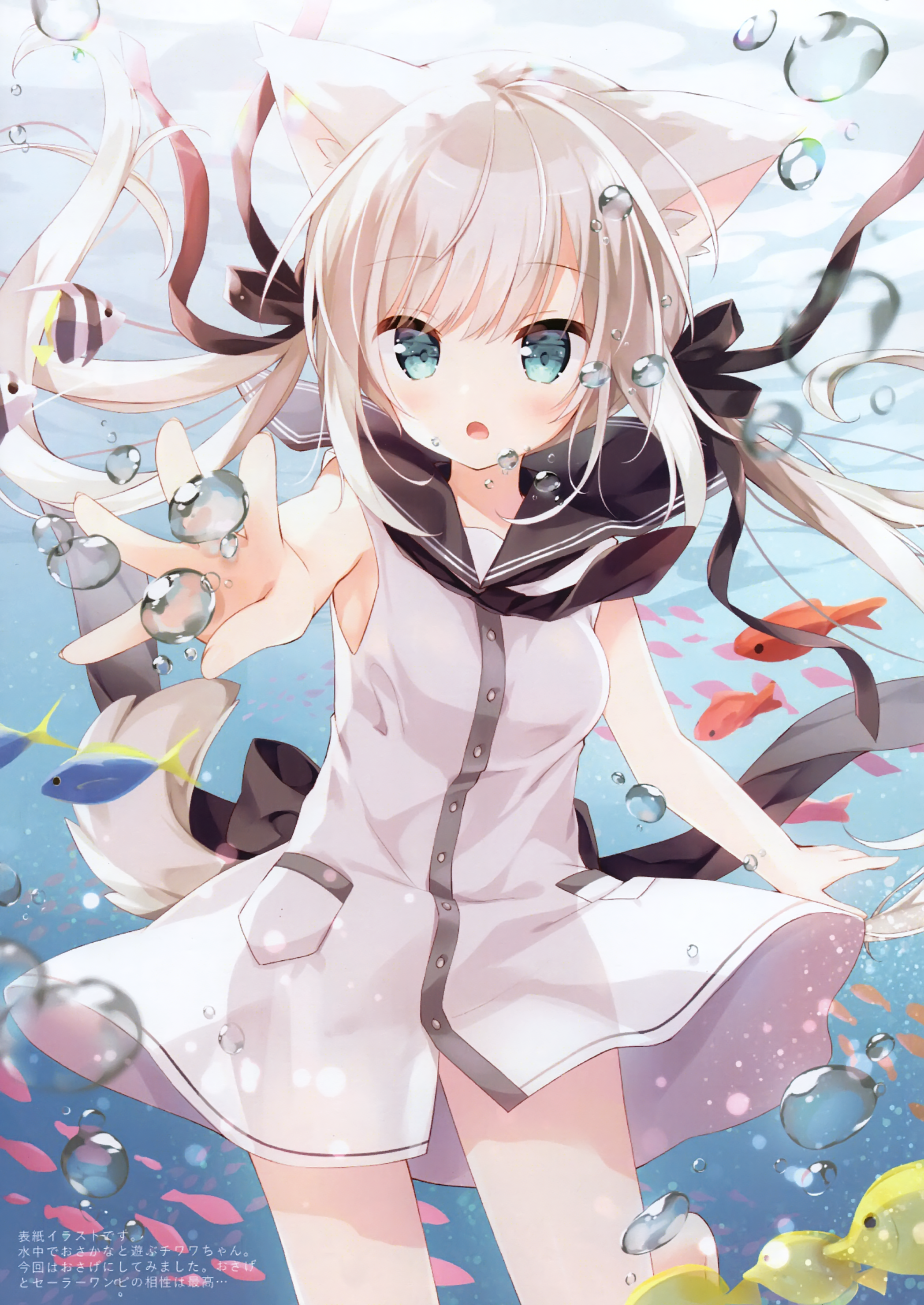 うさぎ130₍ᐢ.ˬ.ᐡ₎【プロフ確認】　 うさぎ130₍ᐢ.ˬ.ᐡ₎【プロフ確認】 うさぎ (@__usagi_mochi__)